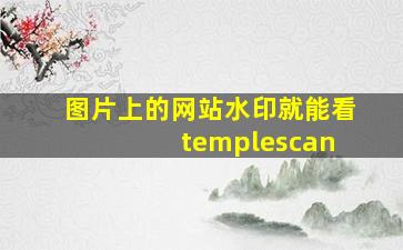 图片上的网站水印就能看 templescan